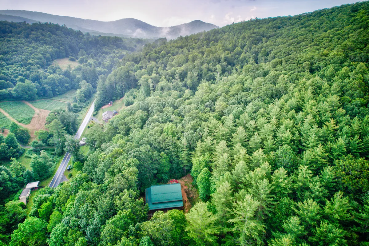 This image showcases a lush green forest with mountain landscapes in the background, a winding roadway, and an isolated cabin nestled within nature. The scene evokes tranquility and immersion in the wilderness, ideal for outdoor activities like hiking, wildlife observation, and peaceful walks right outside the cabin.