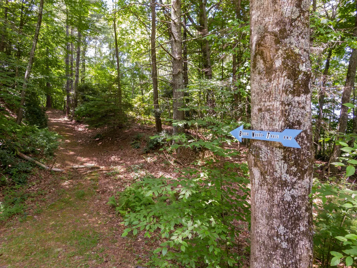 A trail winds gently into the woods, marked by a charming directional sign on a tree. The path is bordered by vibrant greenery, inviting exploration and quiet reflection.